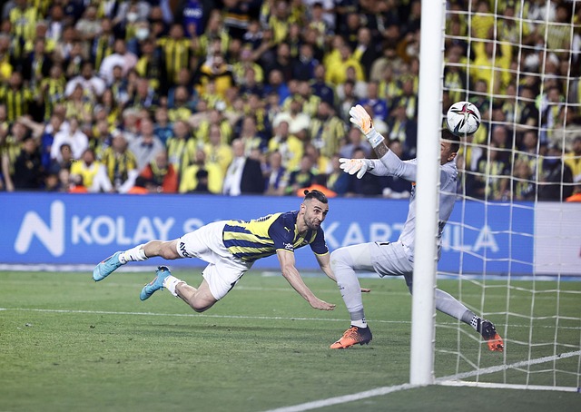 世界顶级篮 世界顶级篮