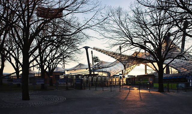 维奇实现了 维奇实现了